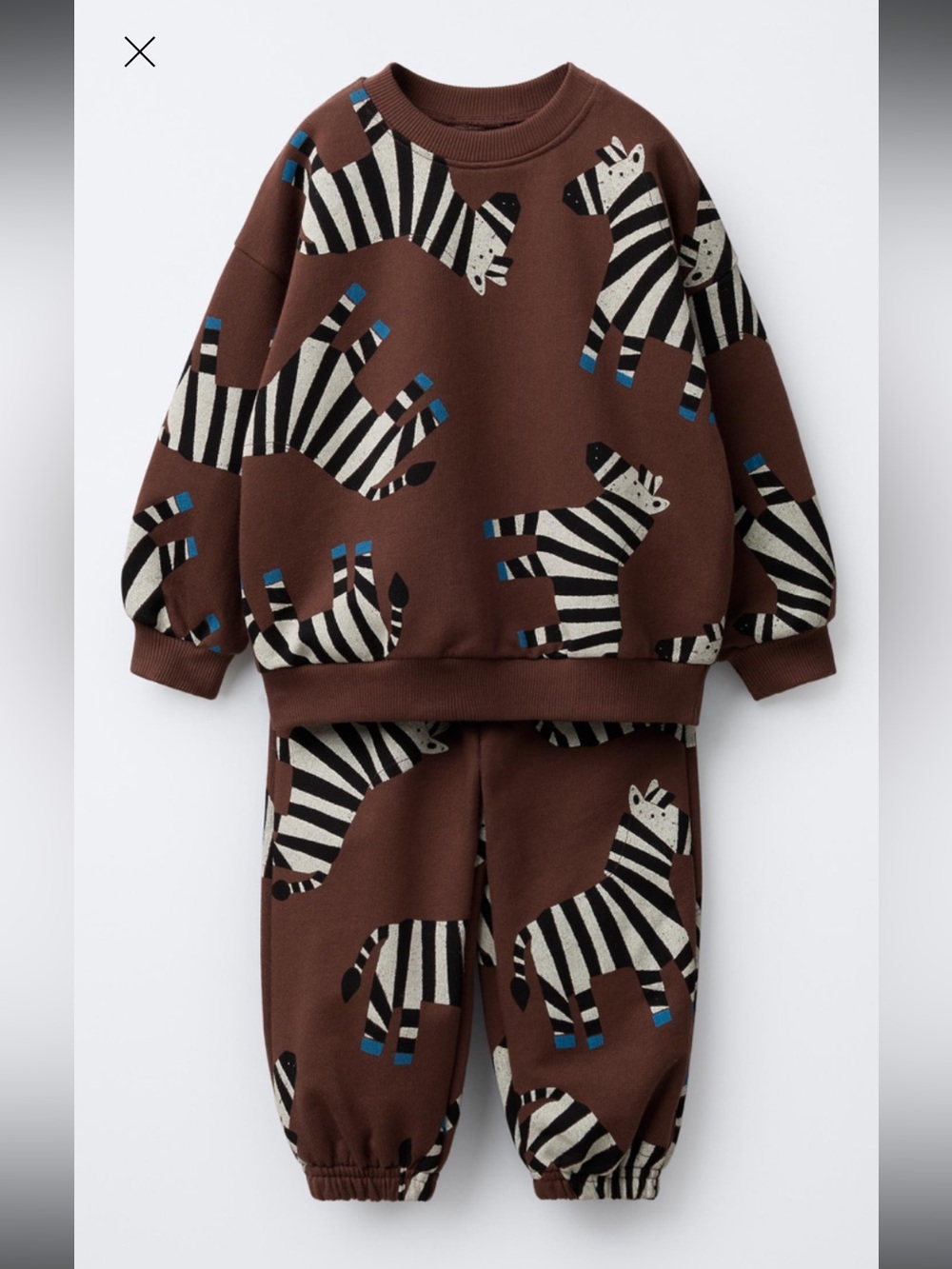 Zara Kids Zebra Sweatshirt & Joggers Set